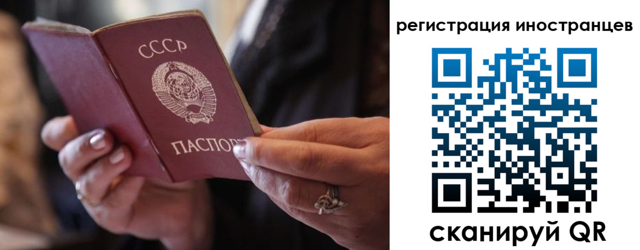 где прописаться в Светлограде